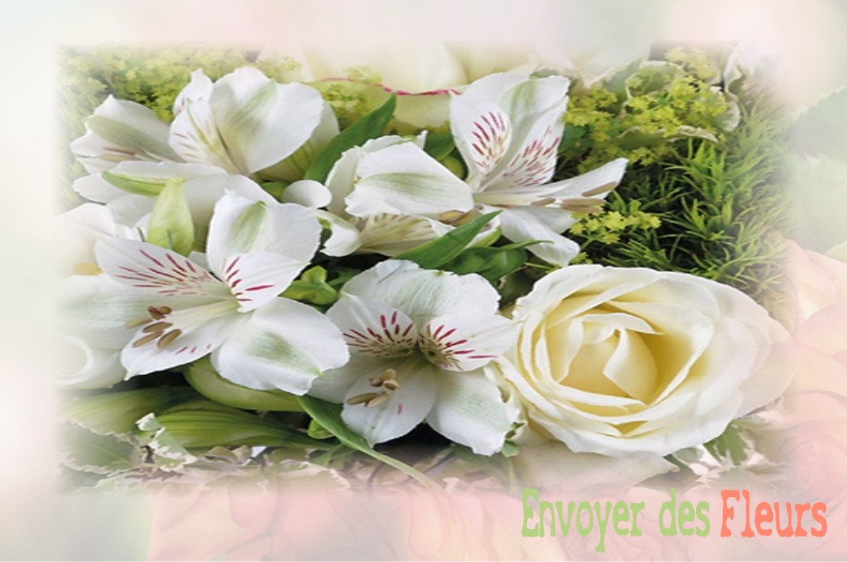envoyer des fleurs à à VILLERS-BRETONNEUX